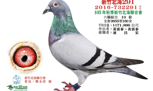 月经期间排出白色的东西是什么原因造成的-【月经期间排出白色的东西是什么原因造成的】月经期排出白色块状物 - 月经期间排出白色的东西是什么原因网